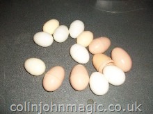 Misc. Lightweight Eggs.Some Fekes